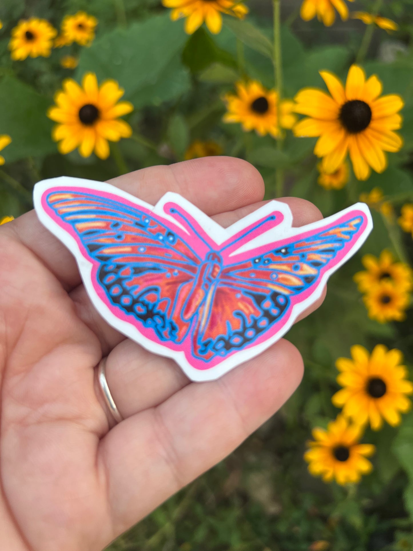 Wild & Wonder Art Subscription